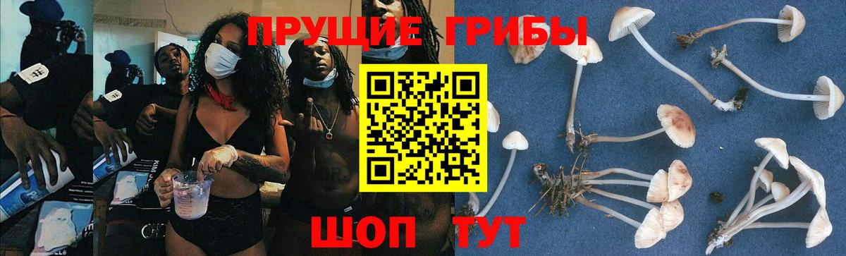 Зеленодольск  Псилоцибиновые грибы прущие грибы  Вход с VPN 